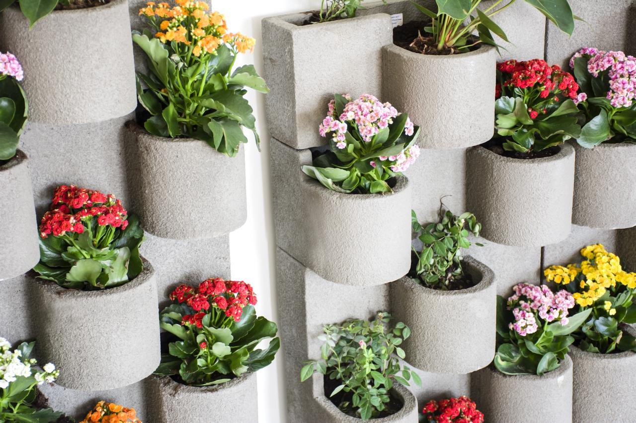 Radisson Blu Resort, Al Khobar Half Moon Bay Esterno foto Vertical garden